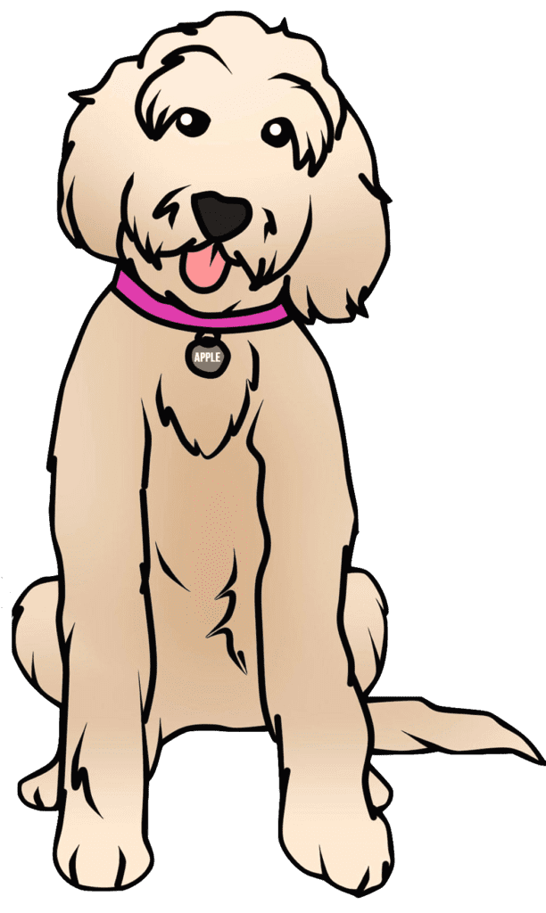 Picture of the cartoon of apple the golden doodle